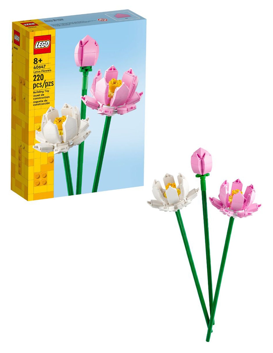Flores de Loto 40647