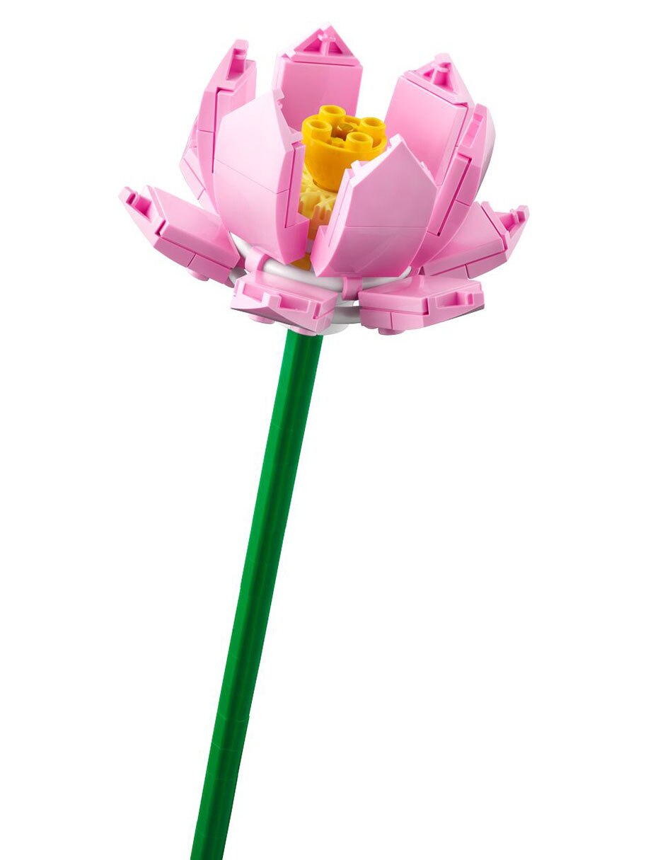 Flores de Loto 40647 7