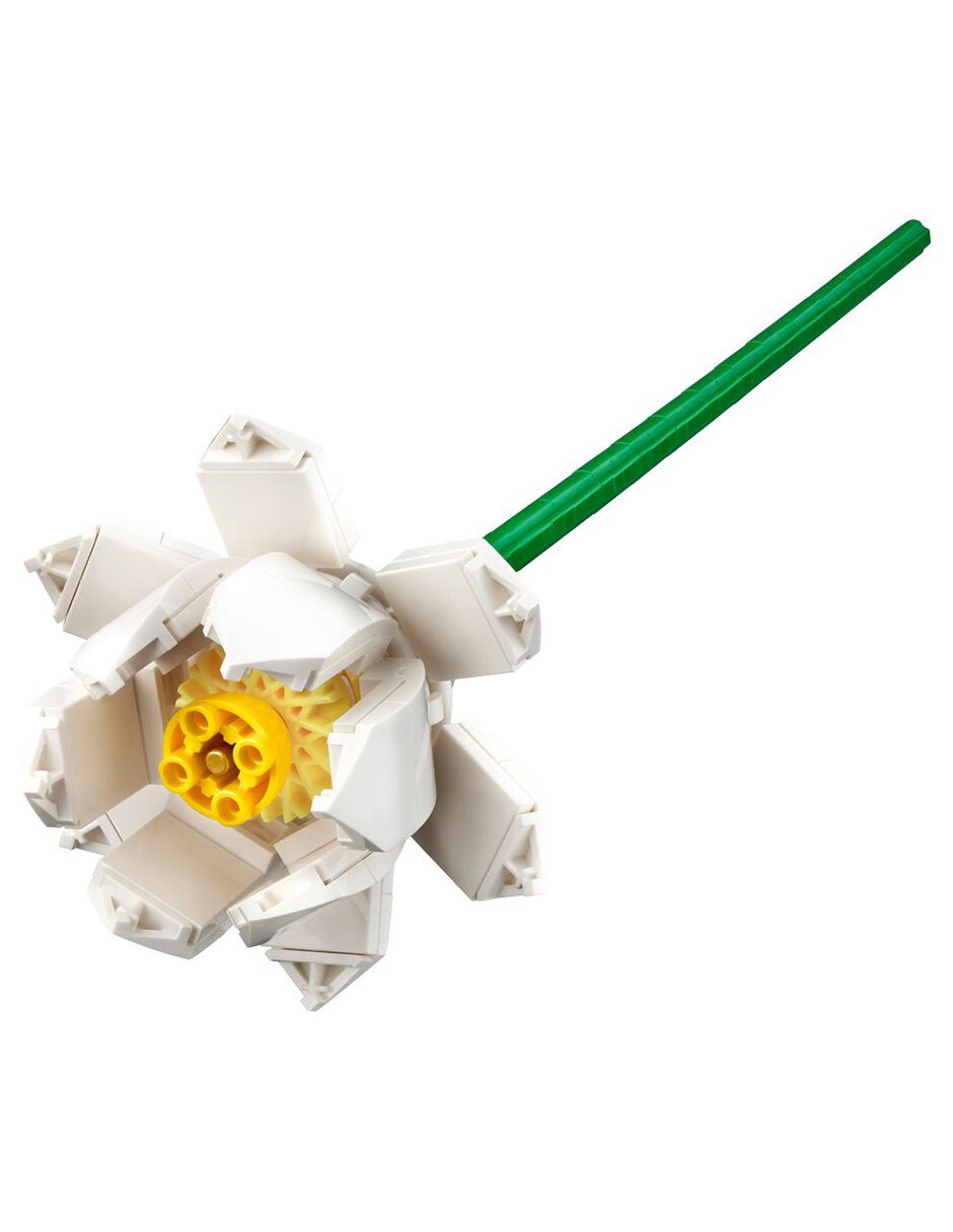 Flores de Loto 40647 8