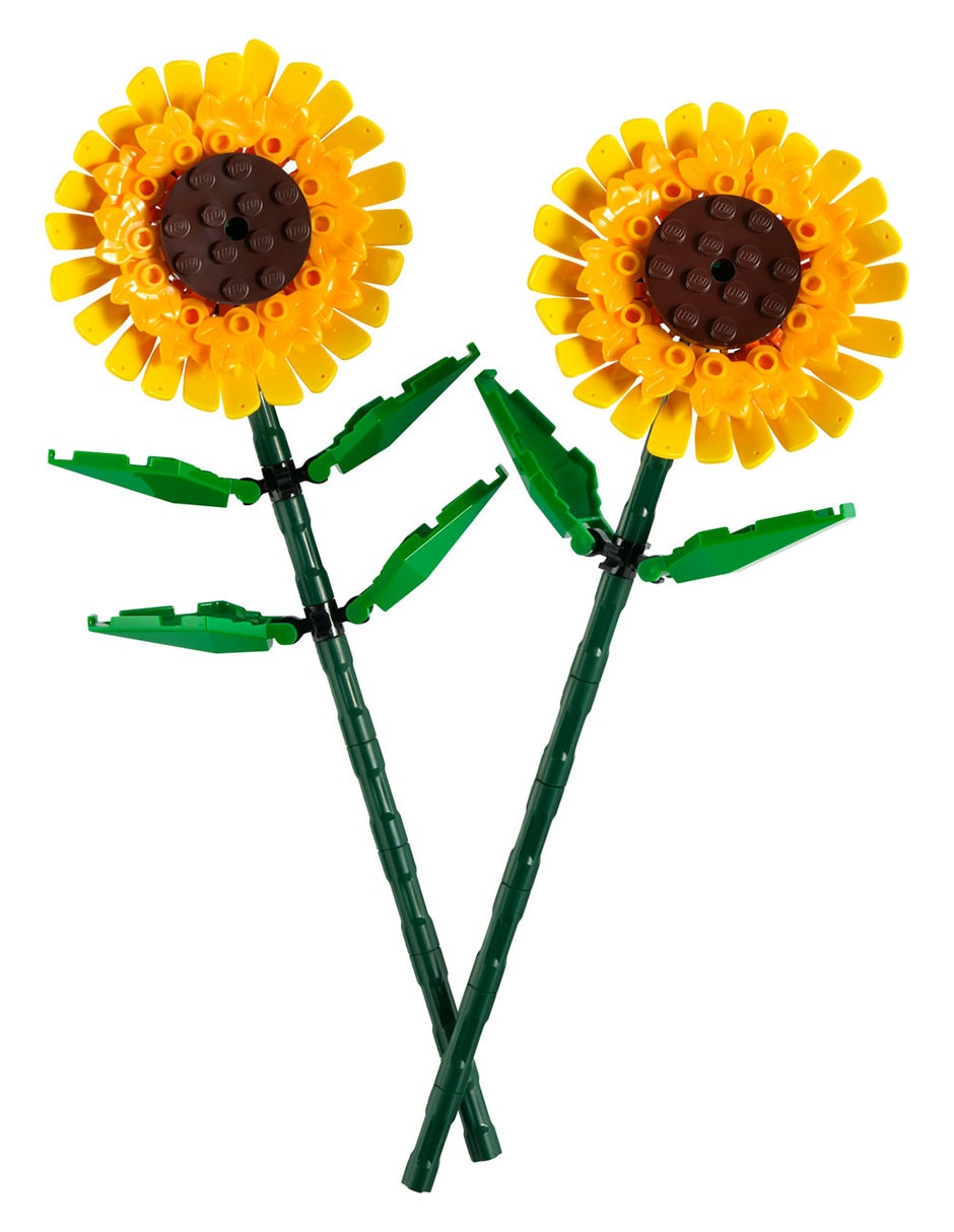Girasoles 40524 3