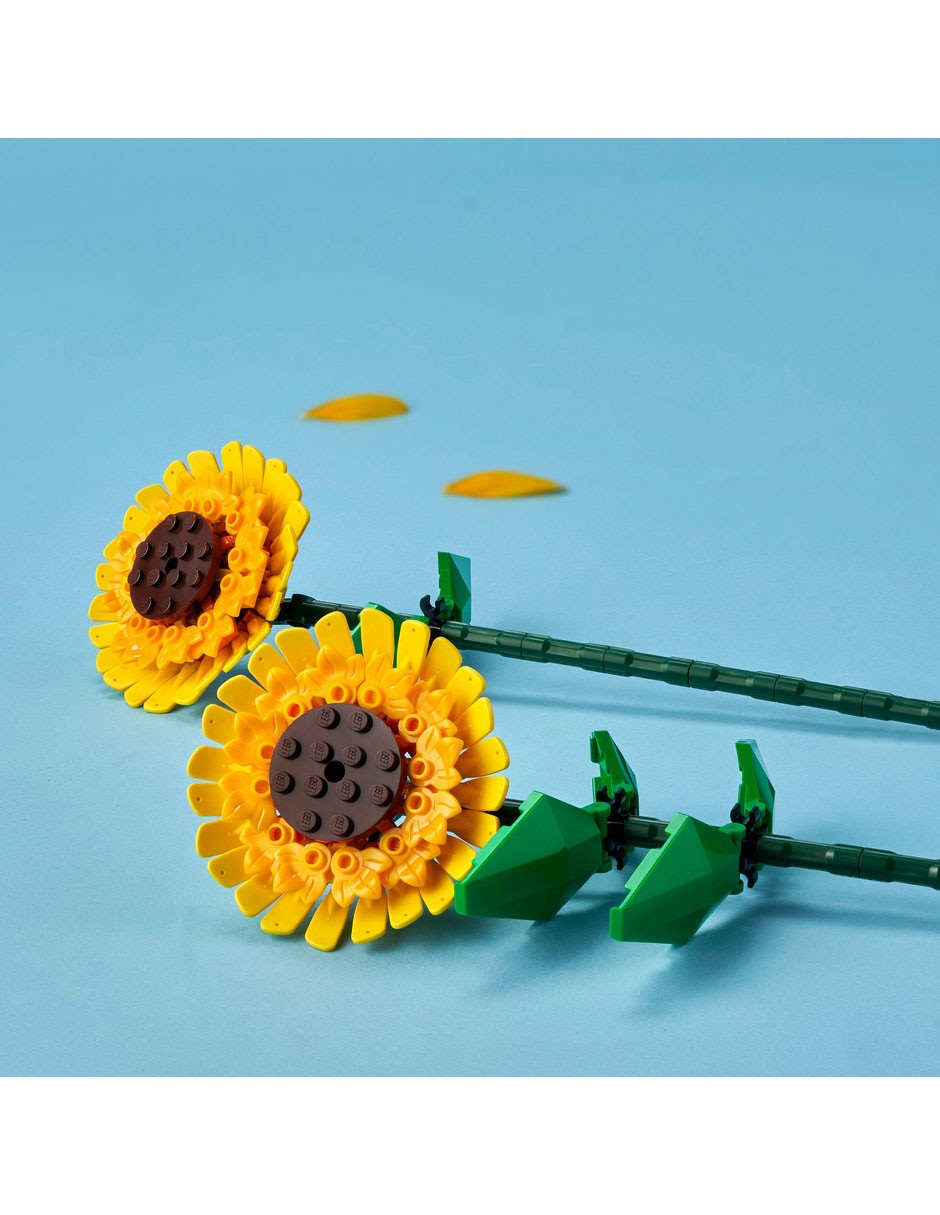 Girasoles 40524 6
