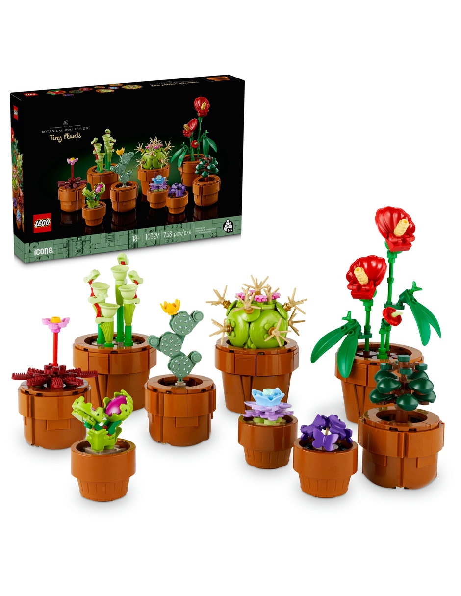 Plantas Pequeñas Tiny Plants