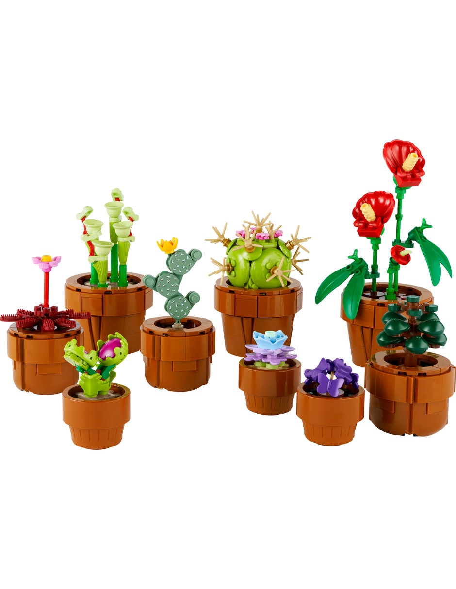 Plantas Pequeñas Tiny Plants 9