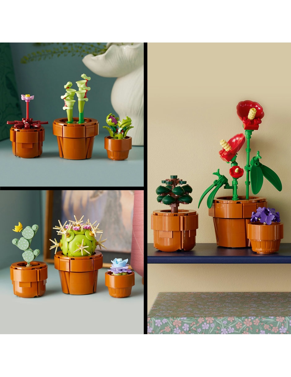 Plantas Pequeñas Tiny Plants 10