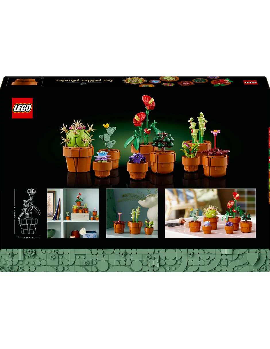 Plantas Pequeñas Tiny Plants 5
