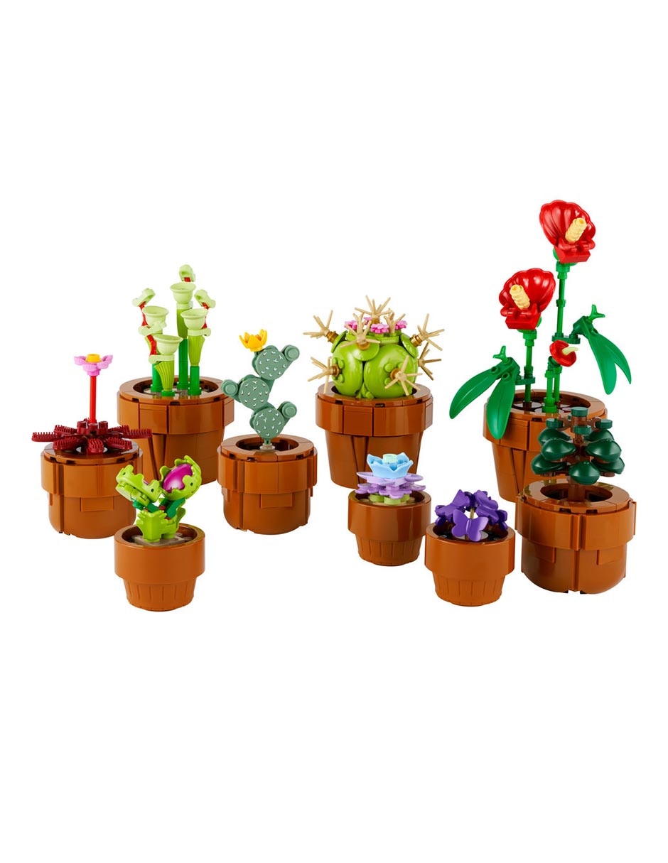 Plantas Pequeñas Tiny Plants 6