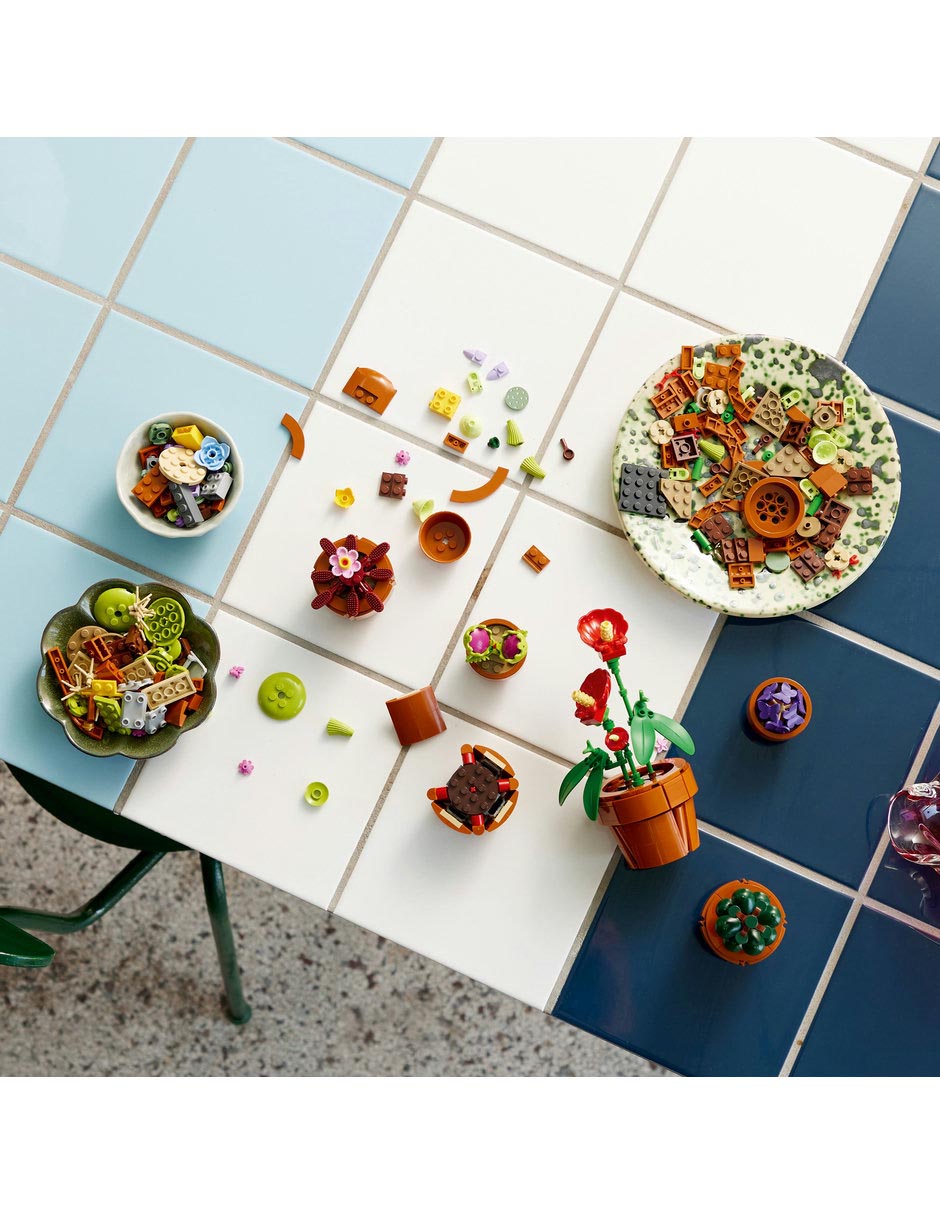 Plantas Pequeñas Tiny Plants 4