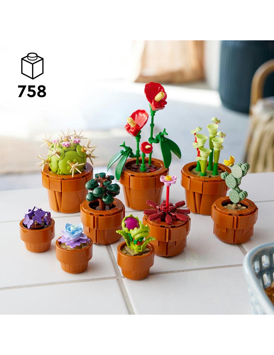 Plantas Pequeñas Tiny Plants 13