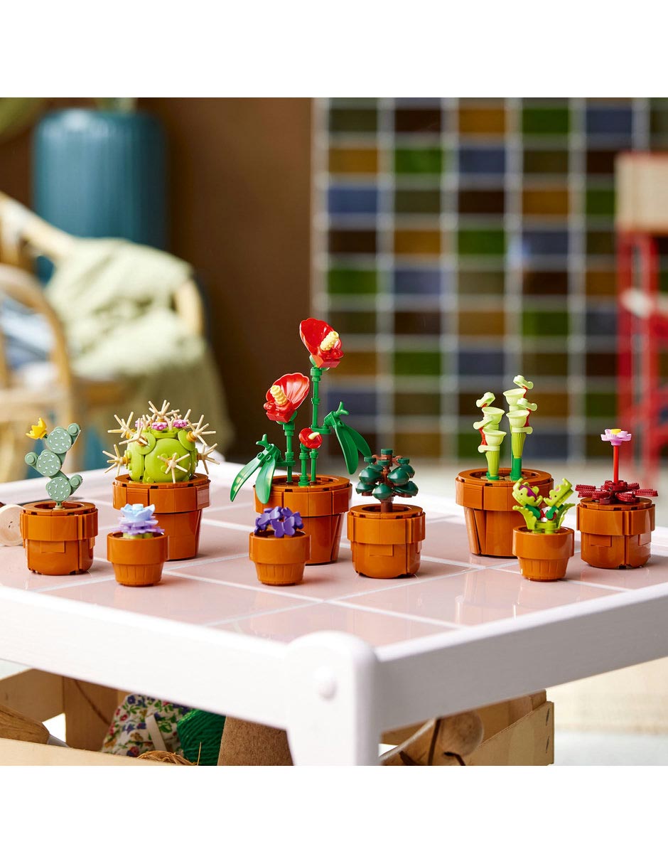 Plantas Pequeñas Tiny Plants 7
