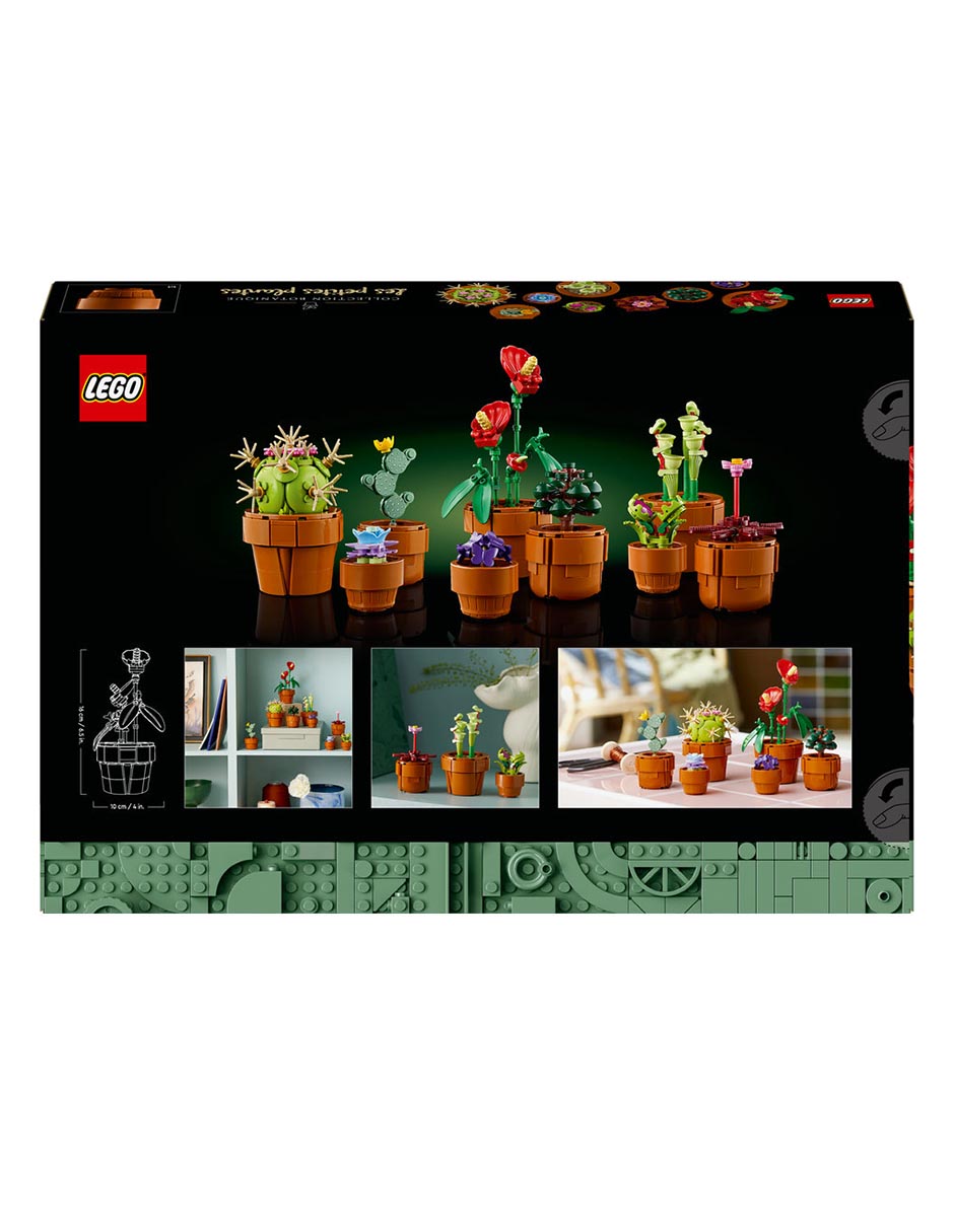 Plantas Pequeñas Tiny Plants 8