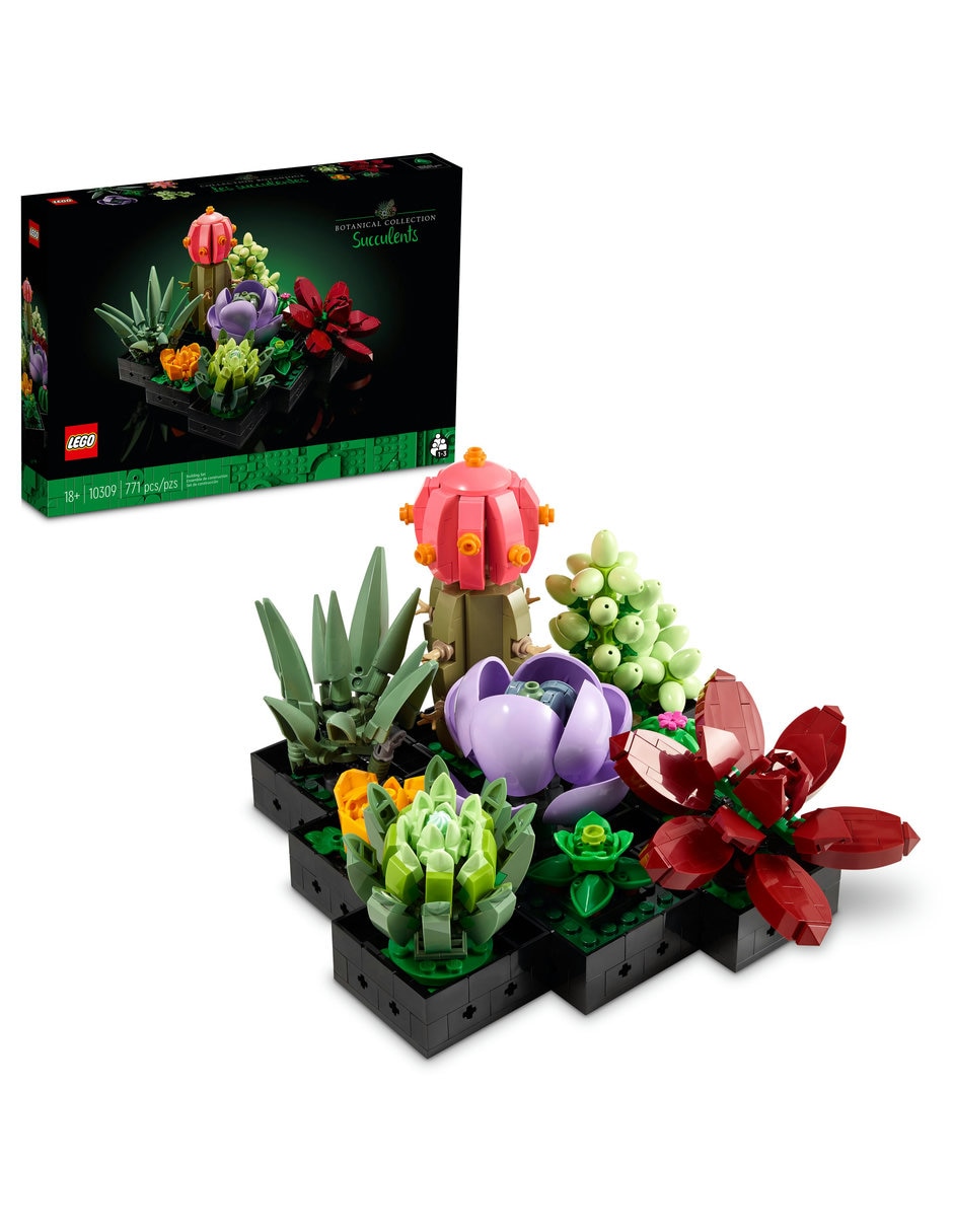 Suculentas 10309 Botanicals