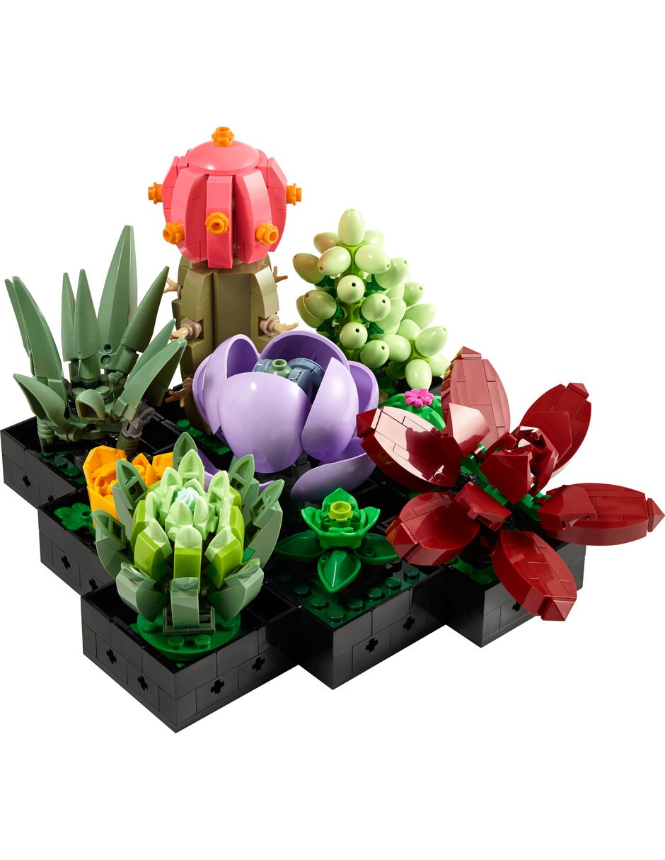 Suculentas 10309 Botanicals 5