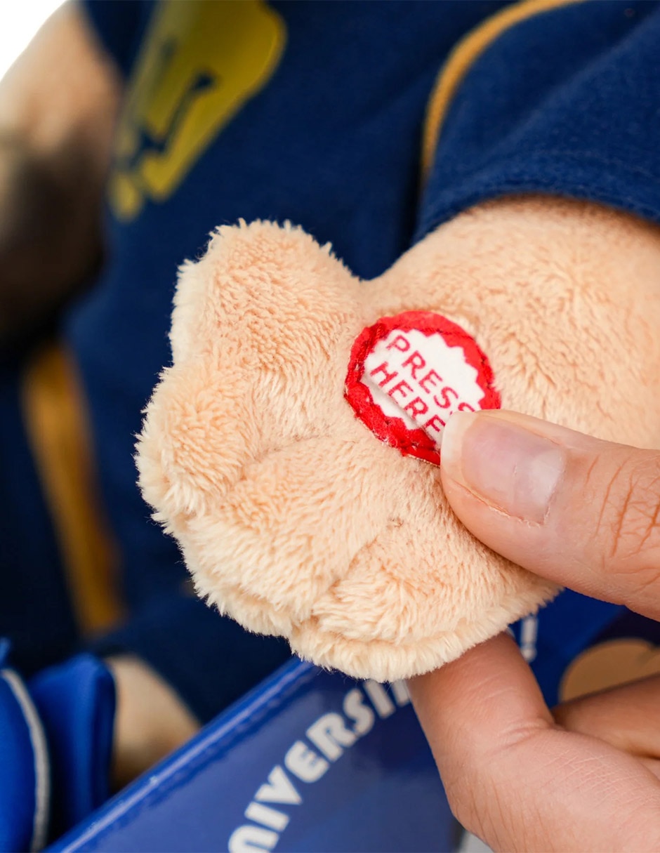 Peluche de Pumas de 25 cm 4