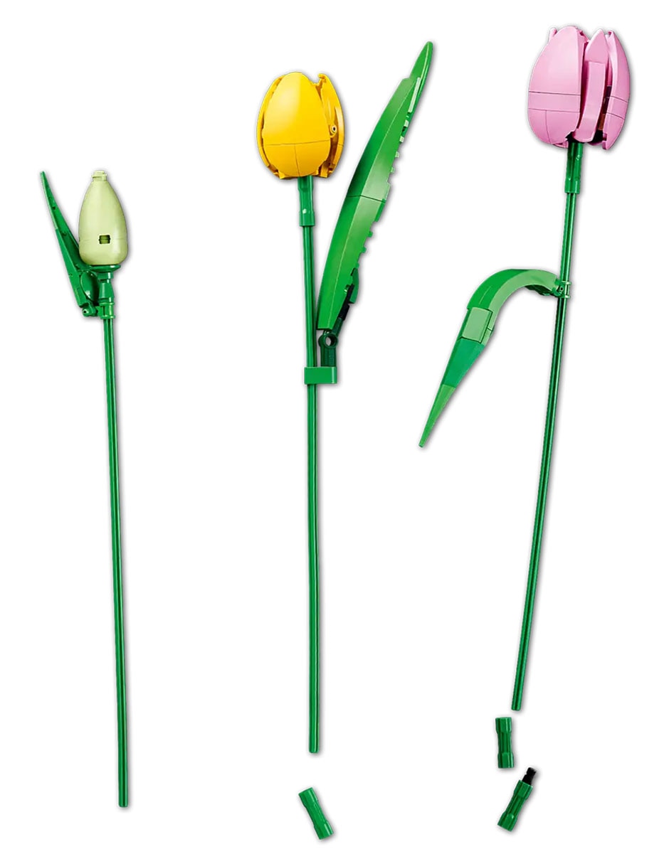 Botanicals Ramo de Tulipanes 11501 Botanicals Ramo de Tulipanes 11501