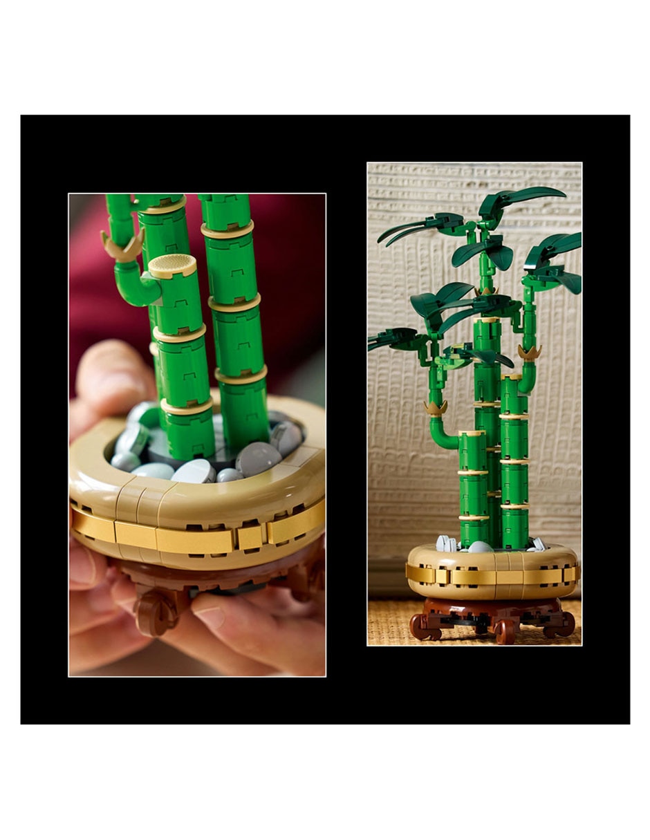 LEGO Bambú de la Suerte 10344 Botanicals