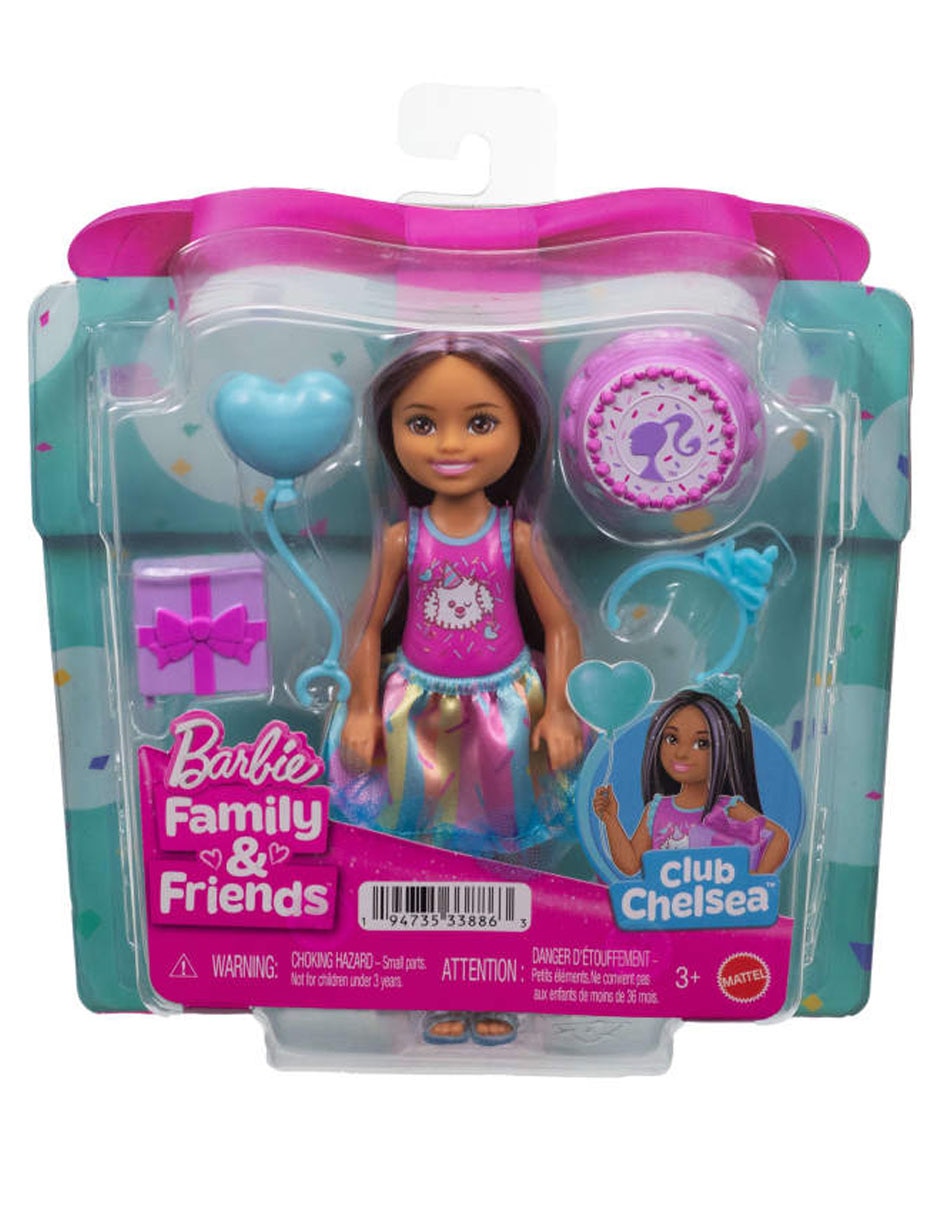 Set muñeca Barbie Family & Friends