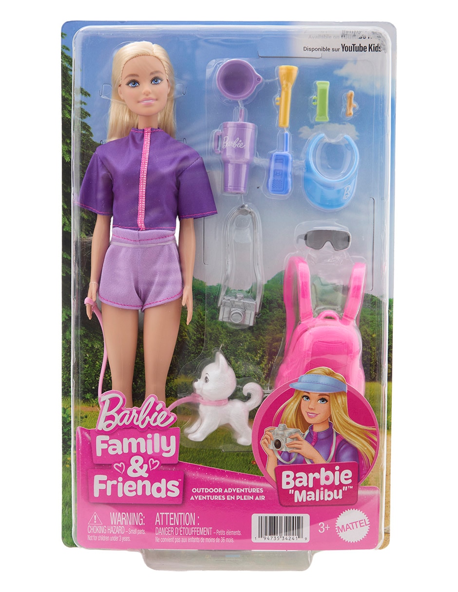 Muñeca Barbie Family & Friends