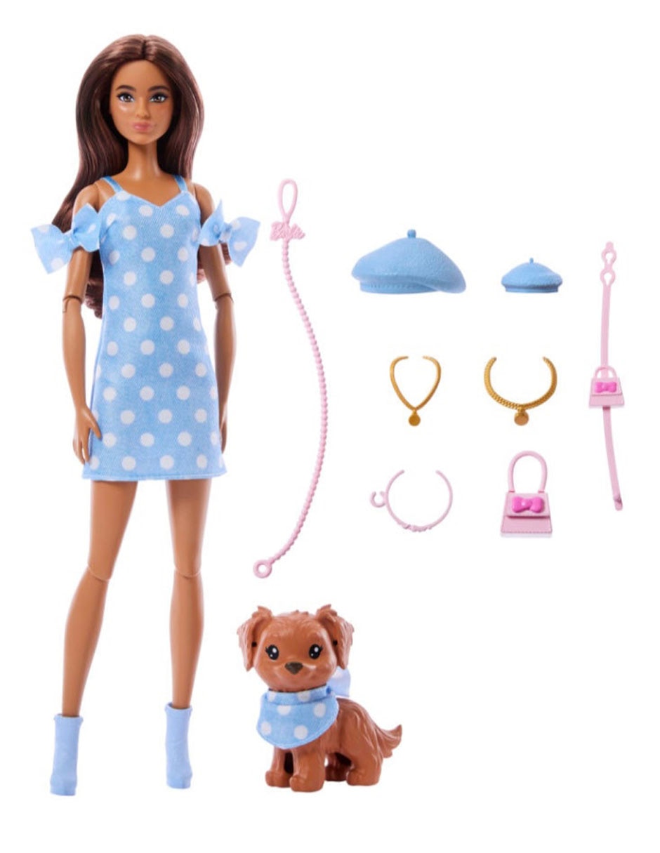 Set muñeca Barbie