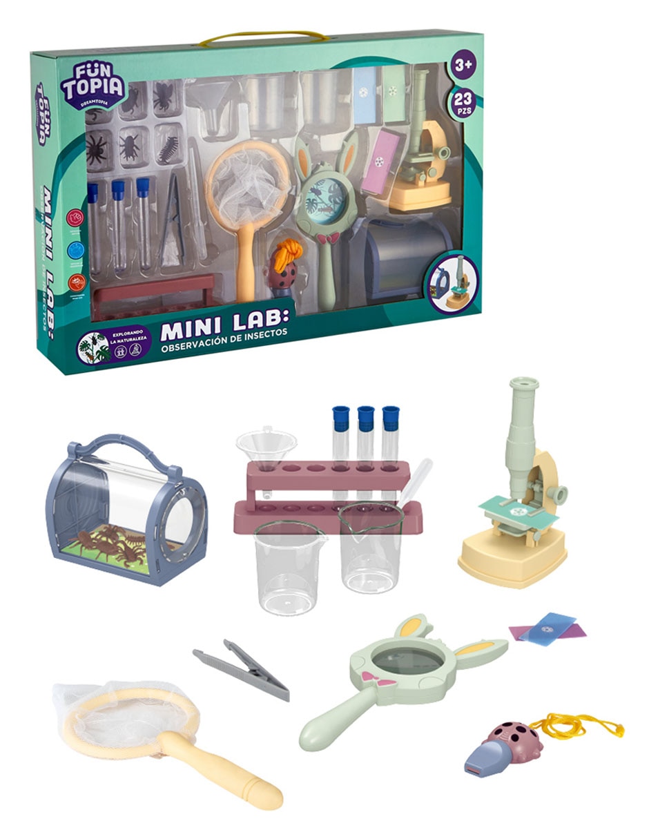 Mini Lab: Observación De Insectos