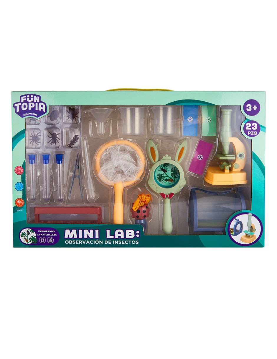 Mini Lab: Observación De Insectos 4
