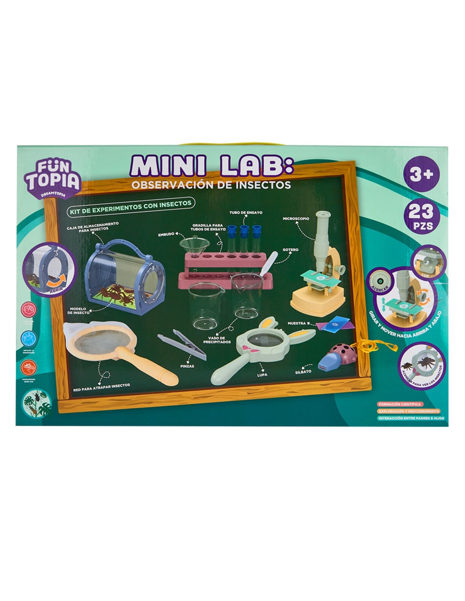 Mini Lab: Observación De Insectos 3