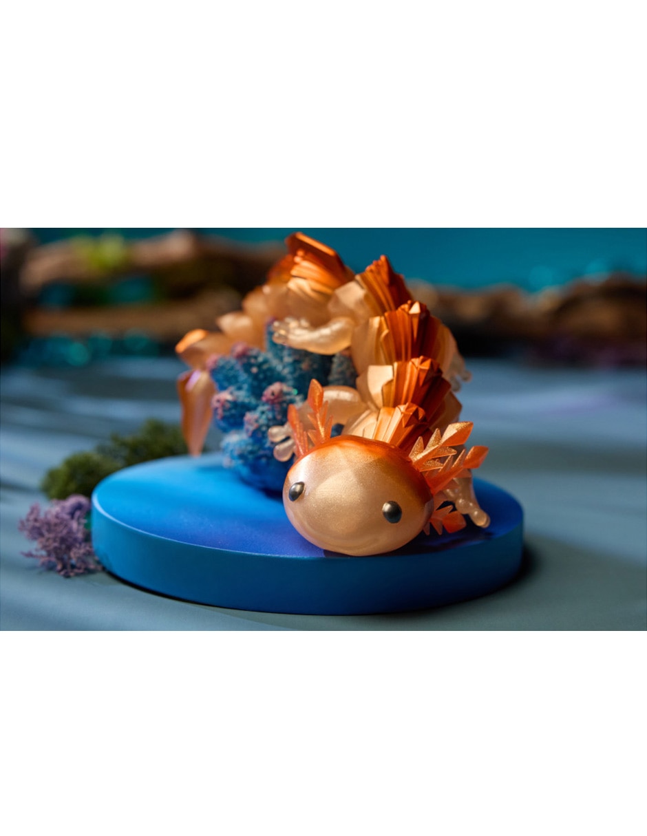 Figura 5